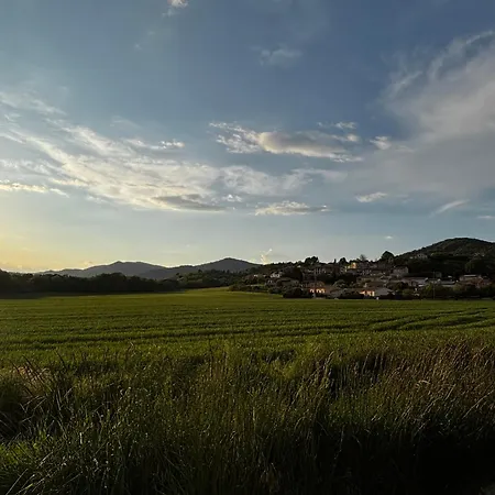 Tiny House Rosalodge