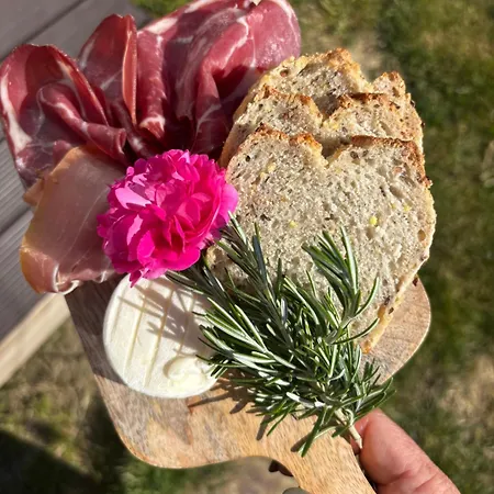 Tiny House Rosalodge Saint Valentin Campingplads Mallemoisson