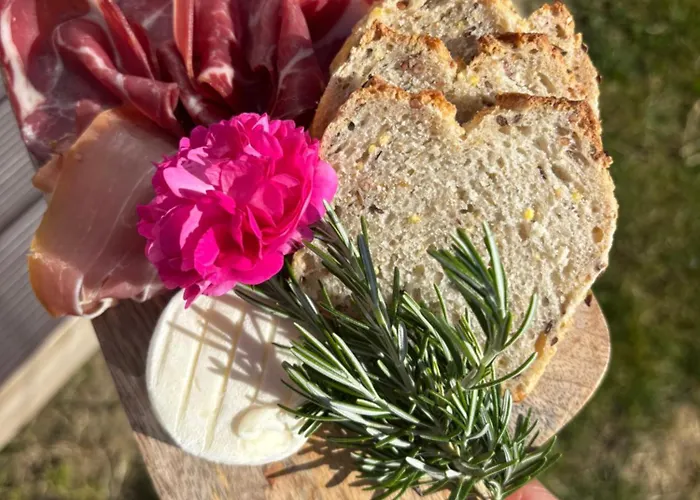 Tiny House Rosalodge Campeggio Mallemoisson